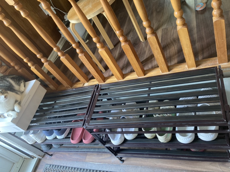 Two shoe racks，totaling $45