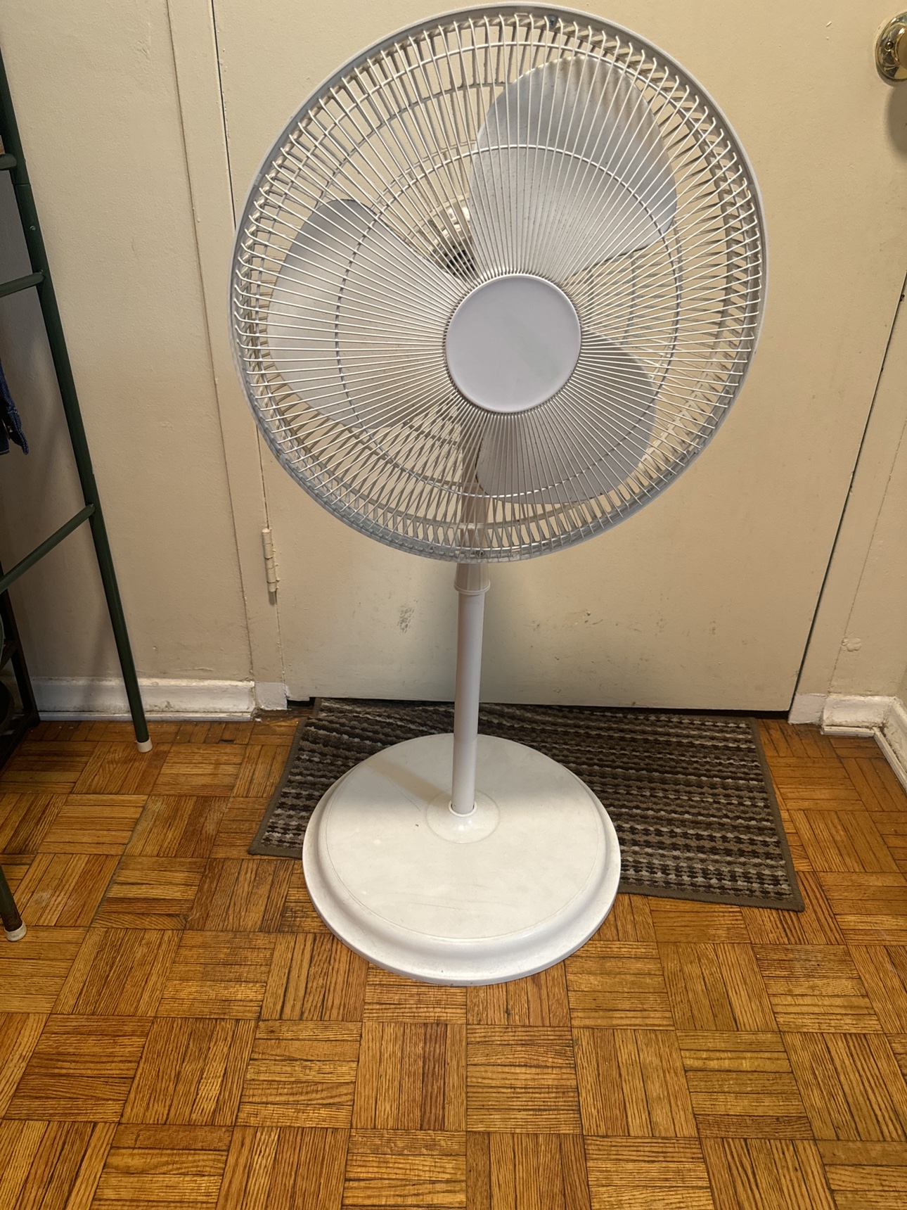 Pedestal Fan
