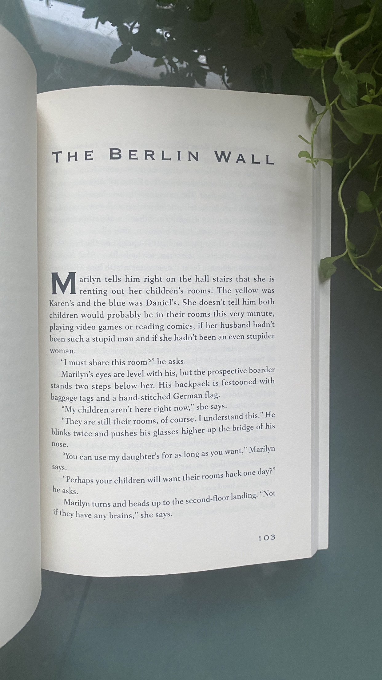 Book: Rhymes with Useless - Terrance Young image indicator(7)