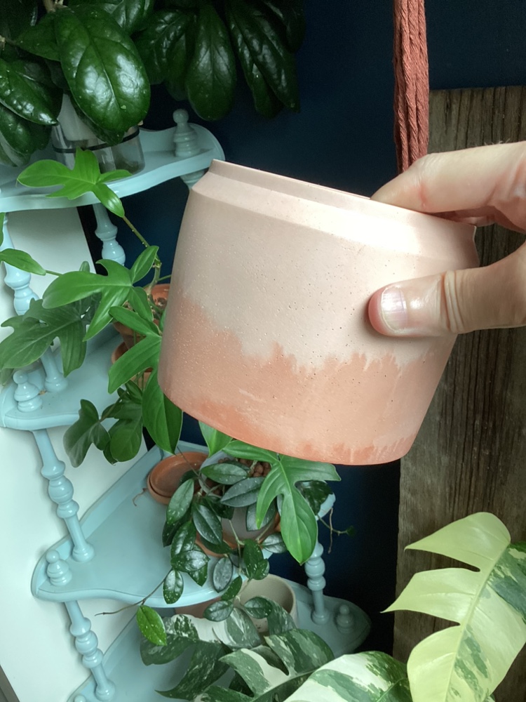 Collection of Plant Pots image indicator(8)