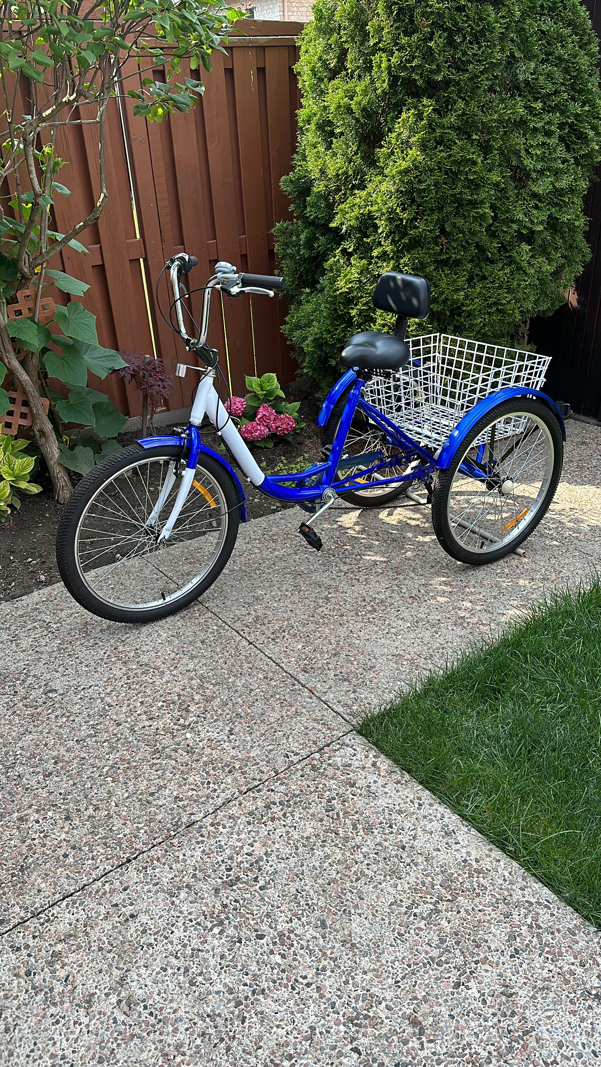 Adult Tricycle 24" Wheels 7 Speed Bike