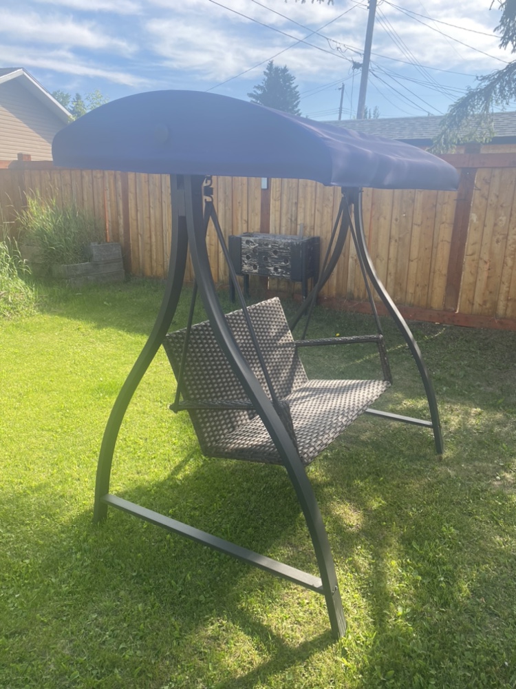 Swing like new 2 months old