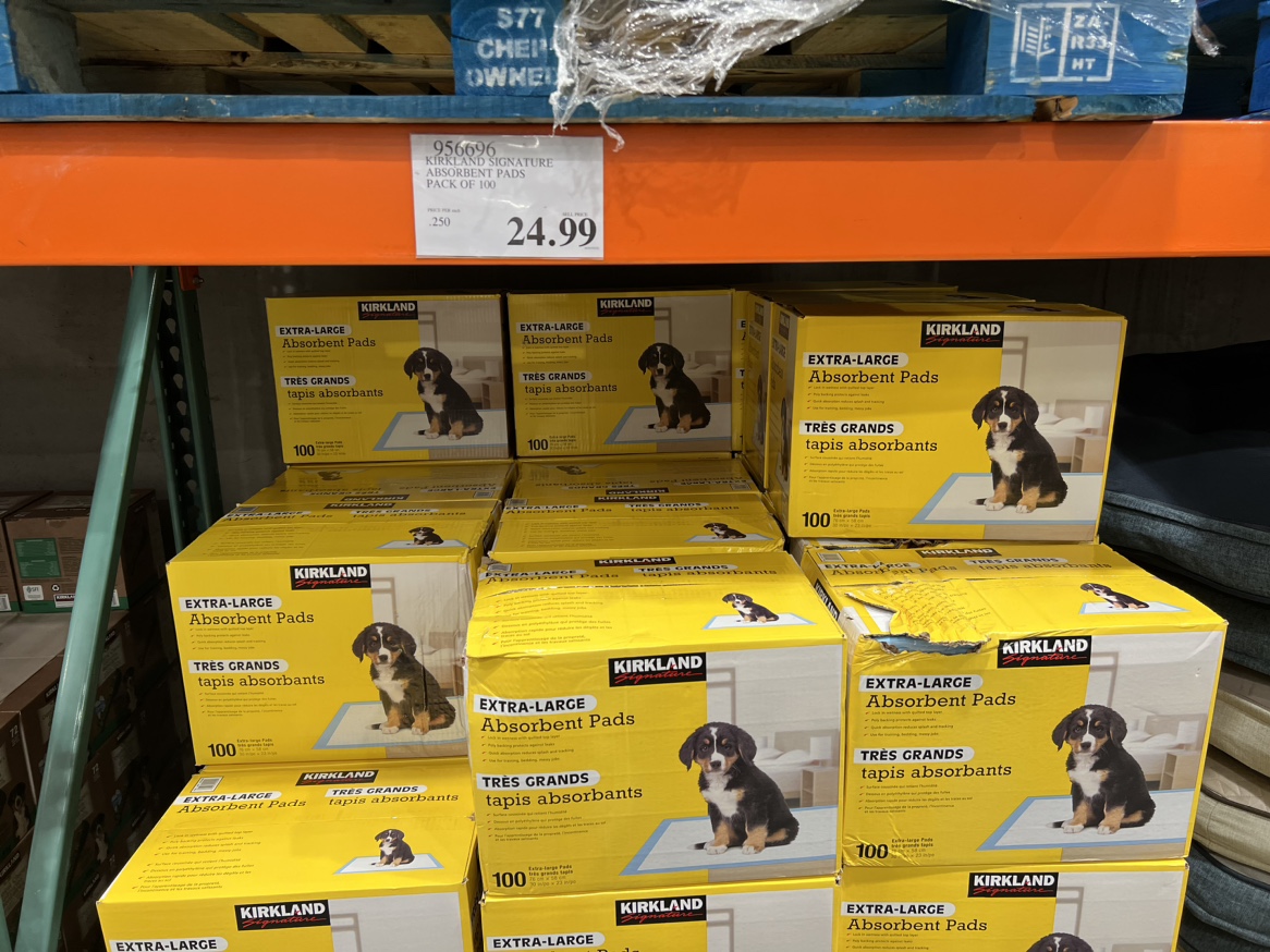 Puppy pee pad