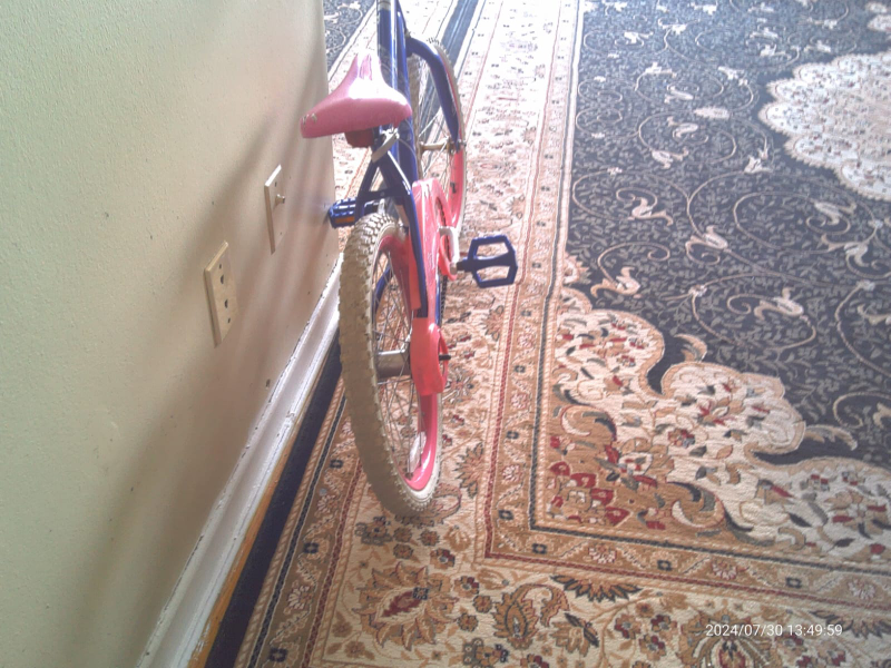 girls bicycle image indicator(2)