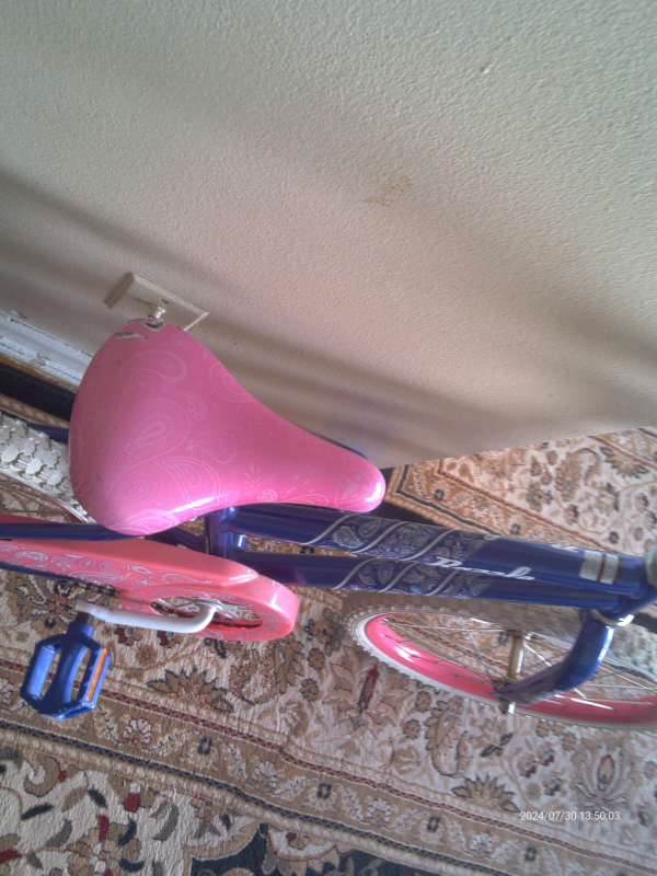 girls bicycle image indicator(3)