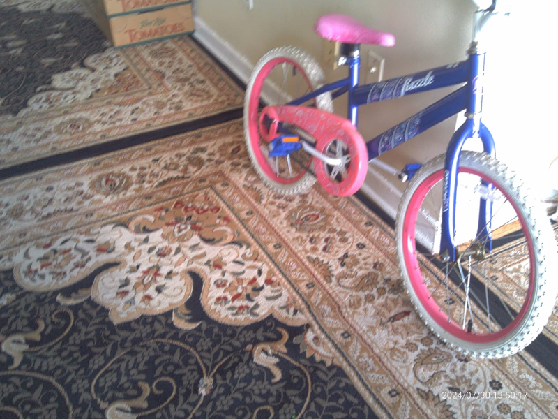 girls bicycle image indicator(5)