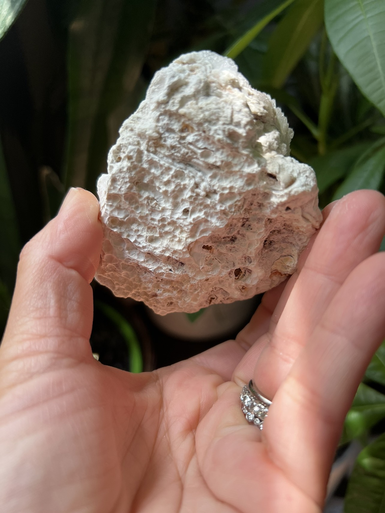 Clear quartz specimen (d) | crystal image indicator(9)