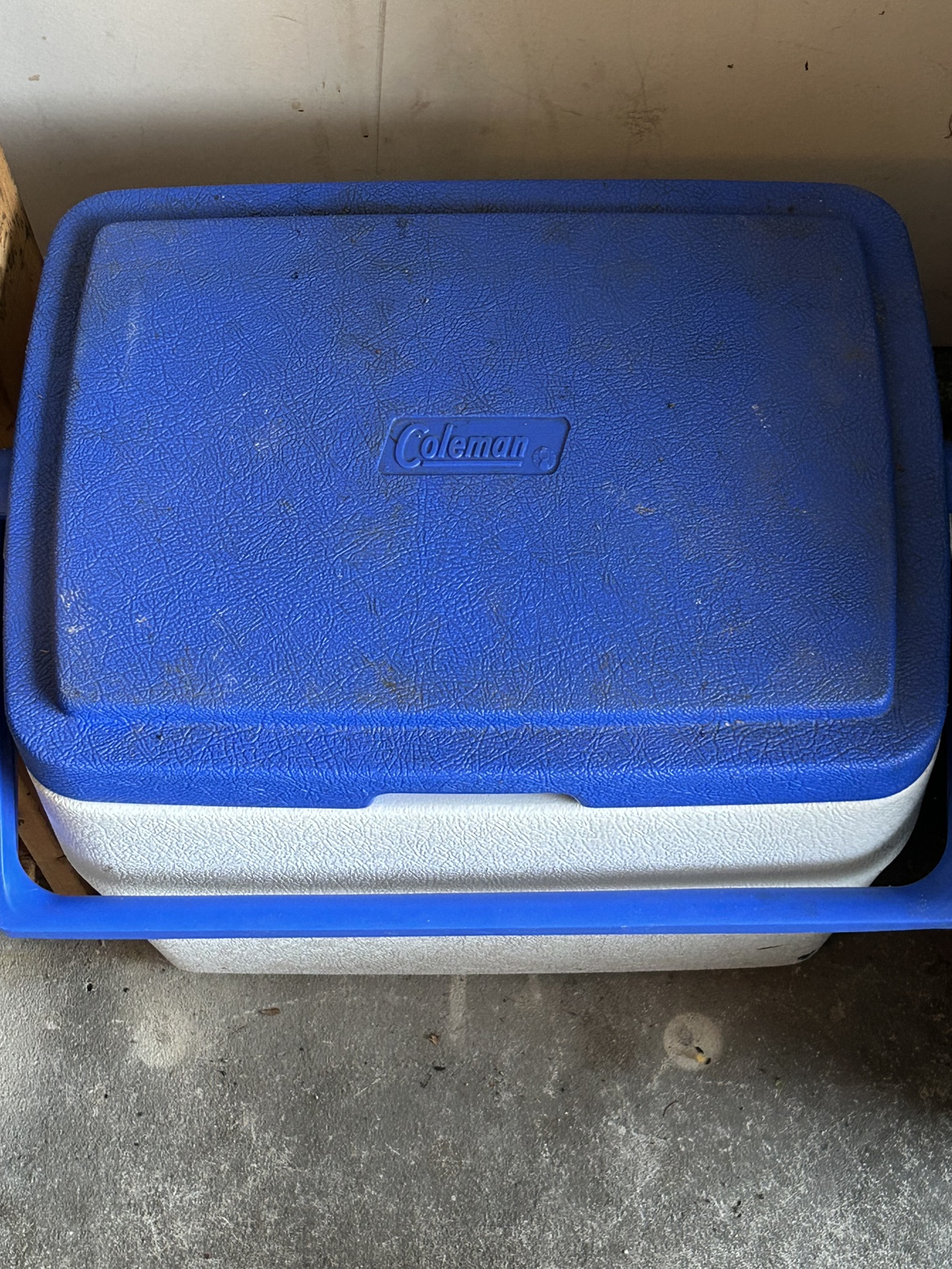 Cooler