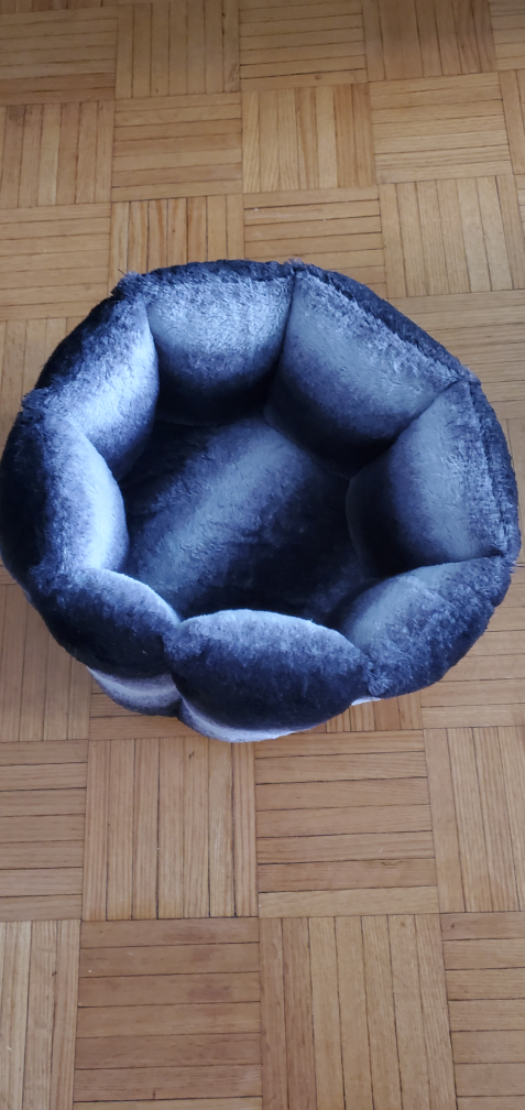 Cozy cat bed #freecycle