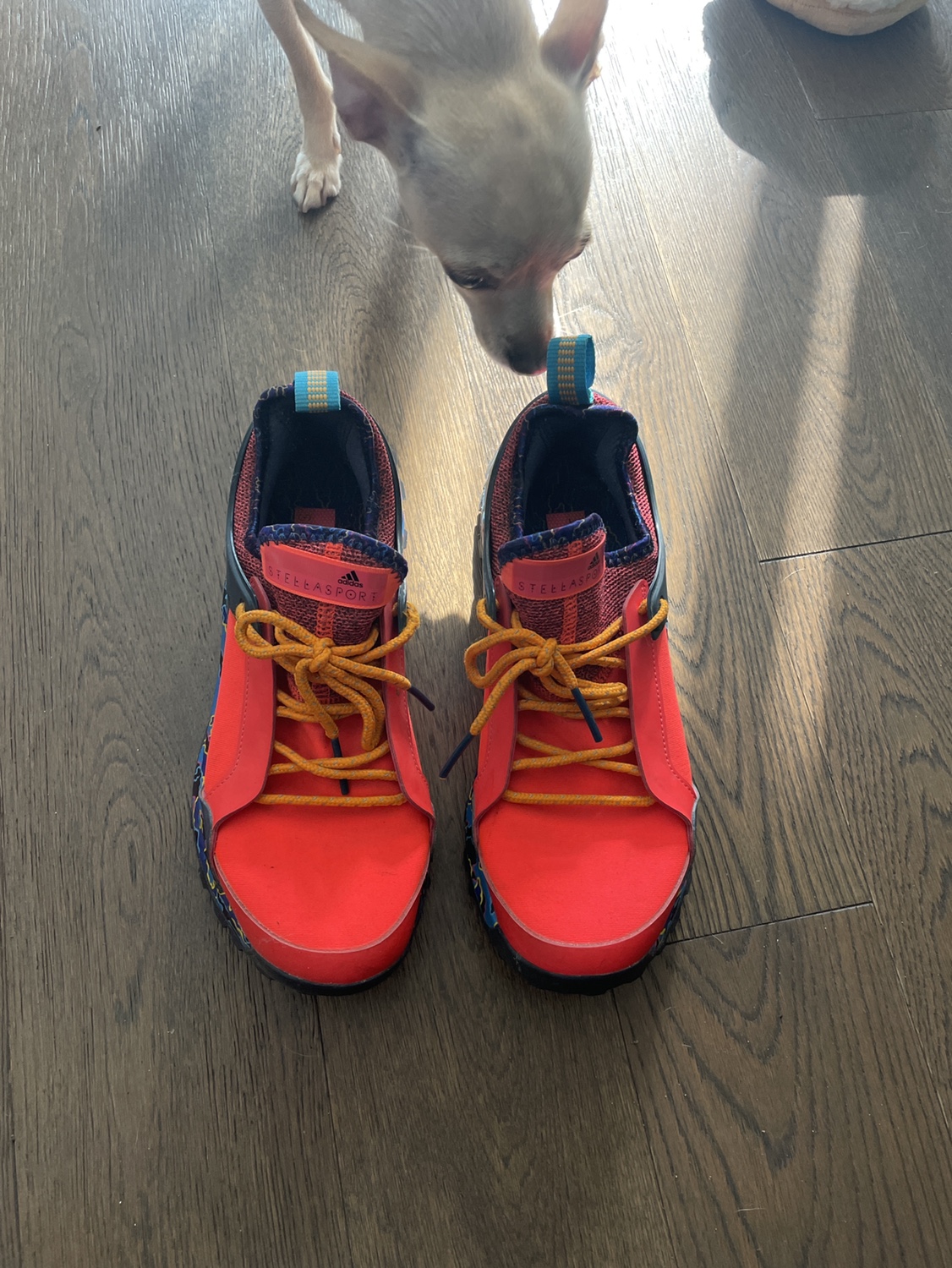 Women’s hiking shoes image indicator(4)