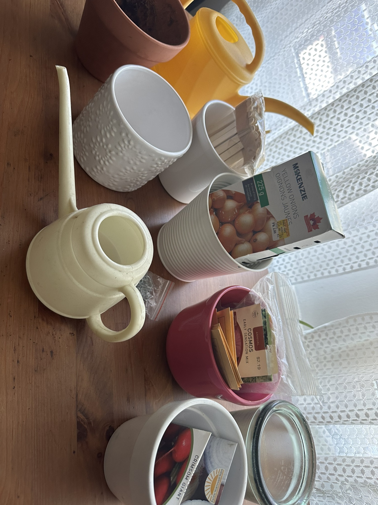 Free plant/garden items - photo 2