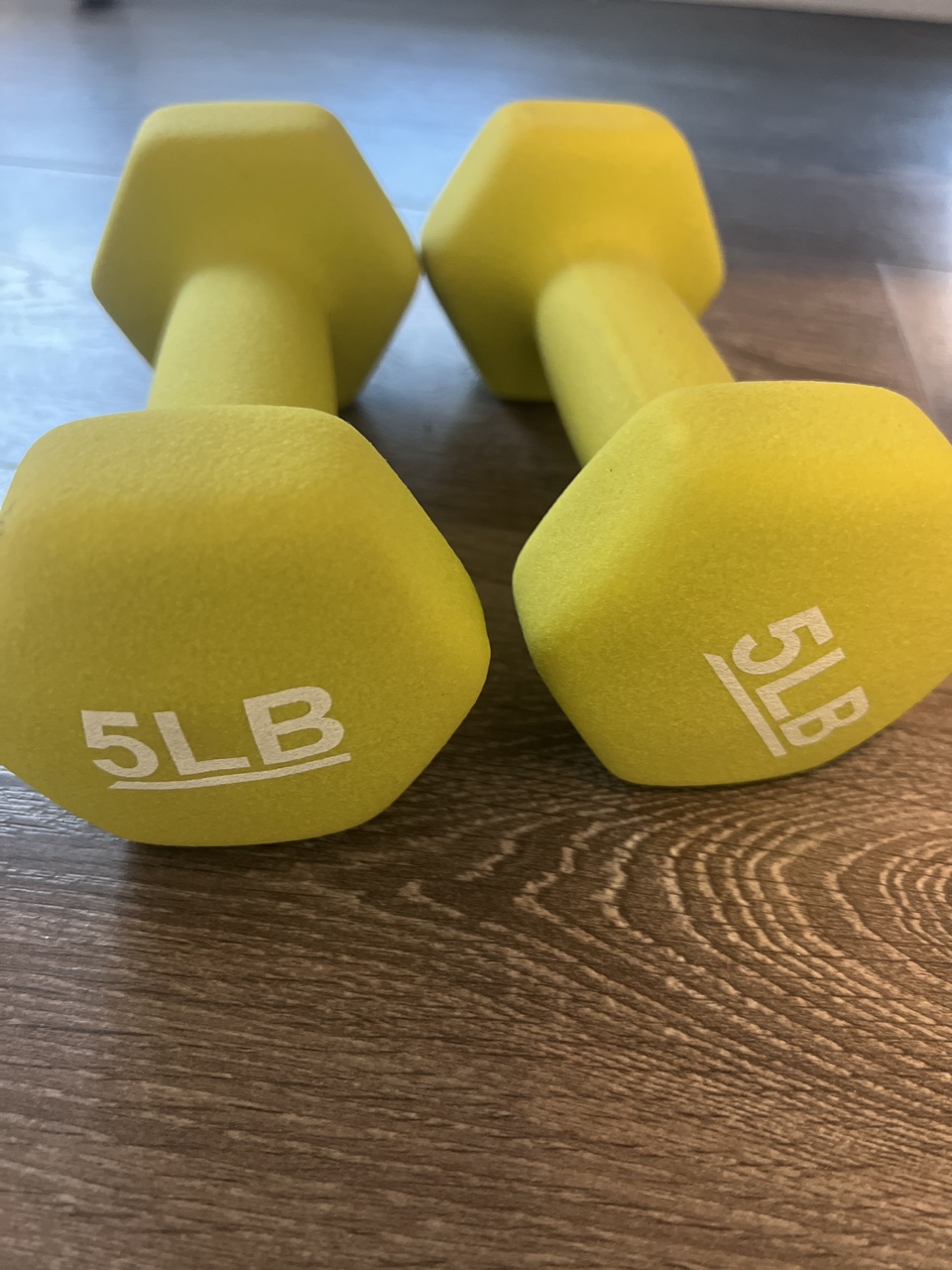 5lb weight