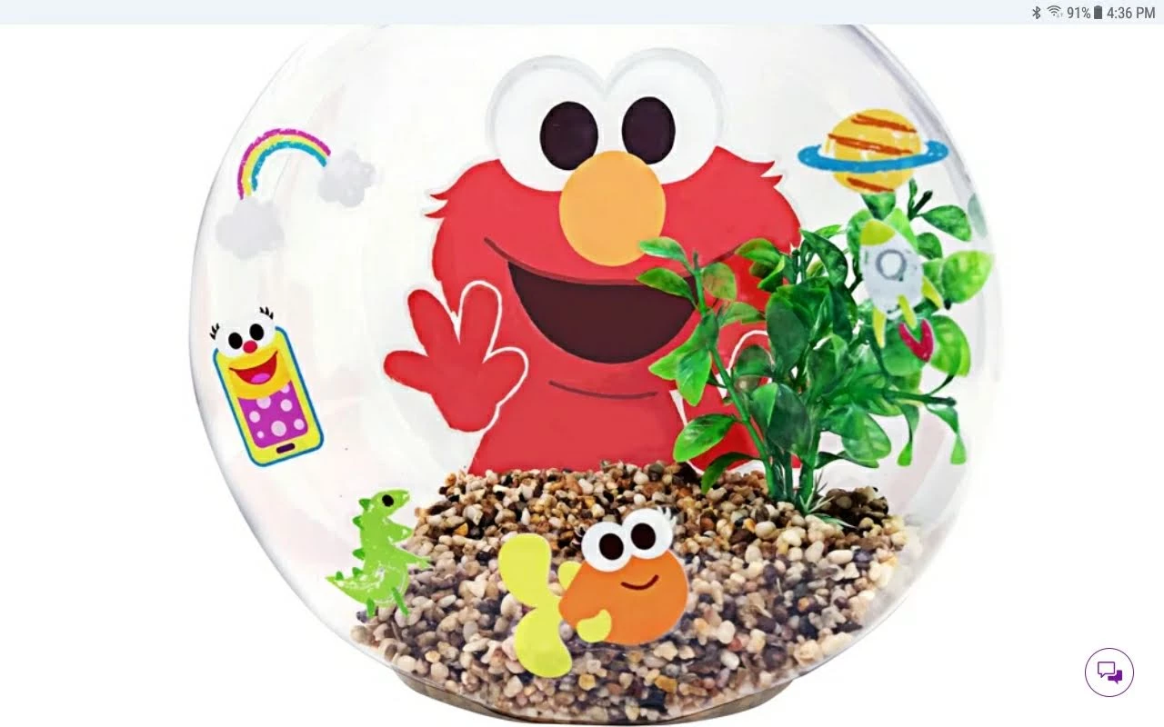 ⚽Oval/Round Fish Bowl Or Planter image indicator(6)