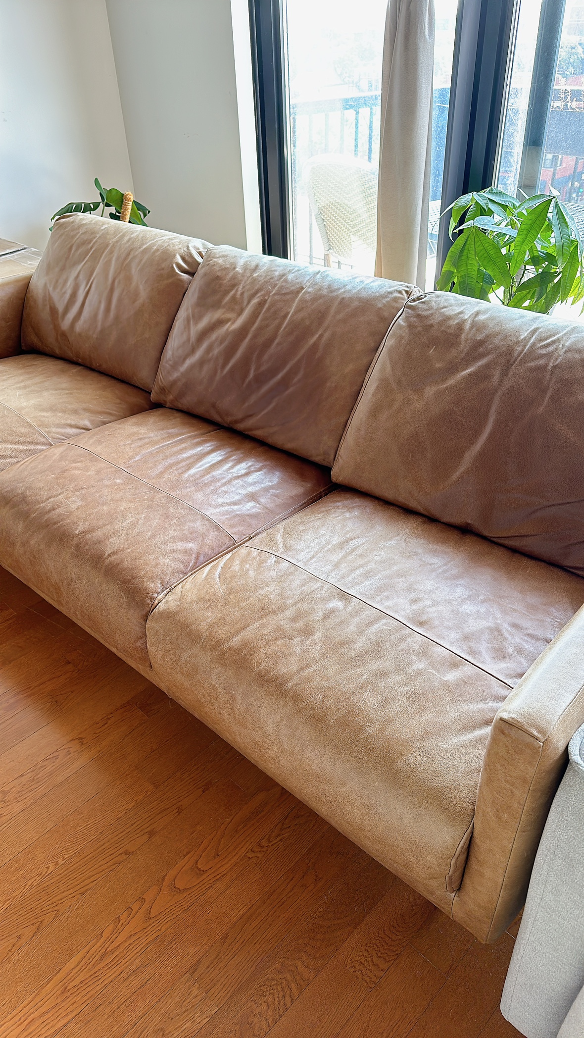 REAL Leather sofa-3 seater - photo 2