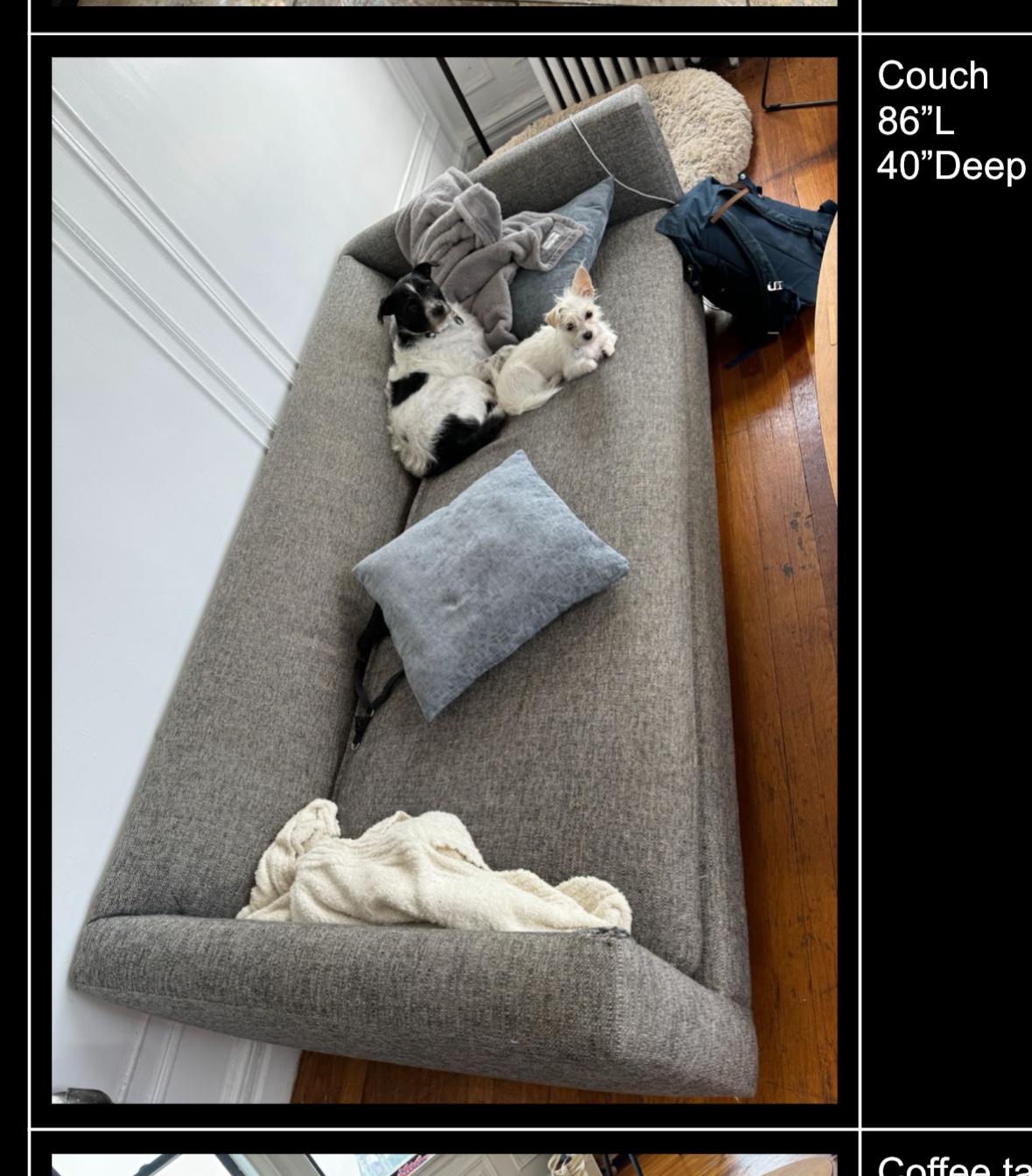 FREE COUCH