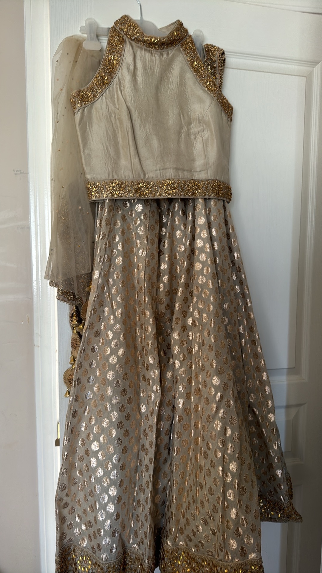 🥕 Brand new beautiful sexy halter style indian lengha dress image indicator(2)