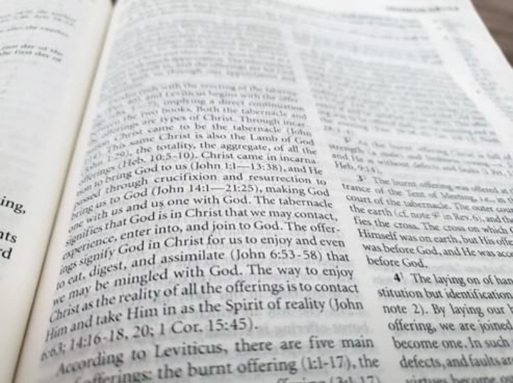 Free New Testament Study Bible #freecycle image indicator(3)