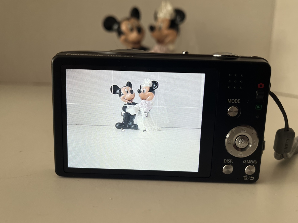 📷 Panasonic Lumix DMC-SZ1 16.1 MP Digital Camera 📷 - photo 5