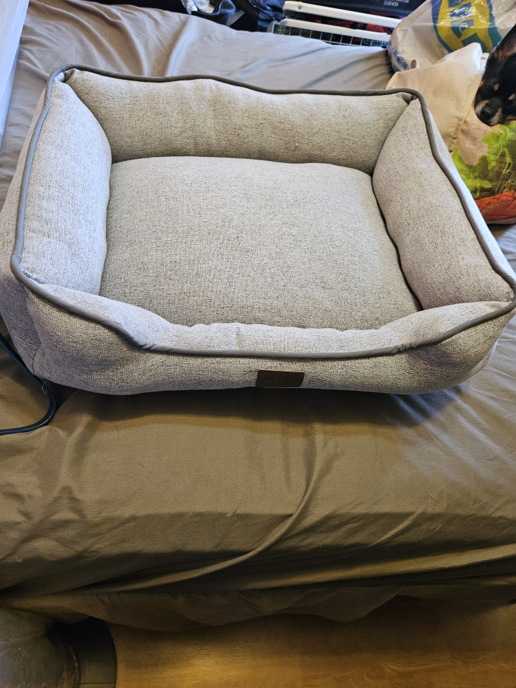 dog bed