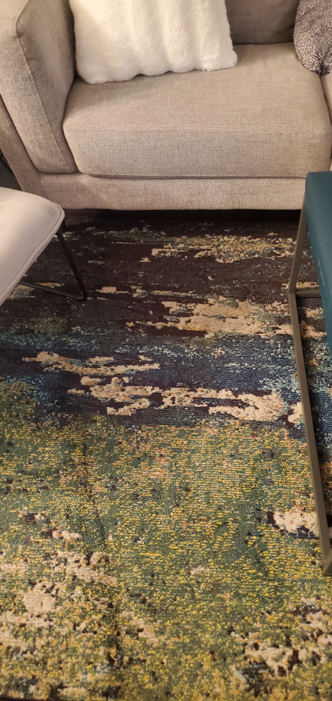 Wayfair Rectangle green/navy rug image indicator(2)