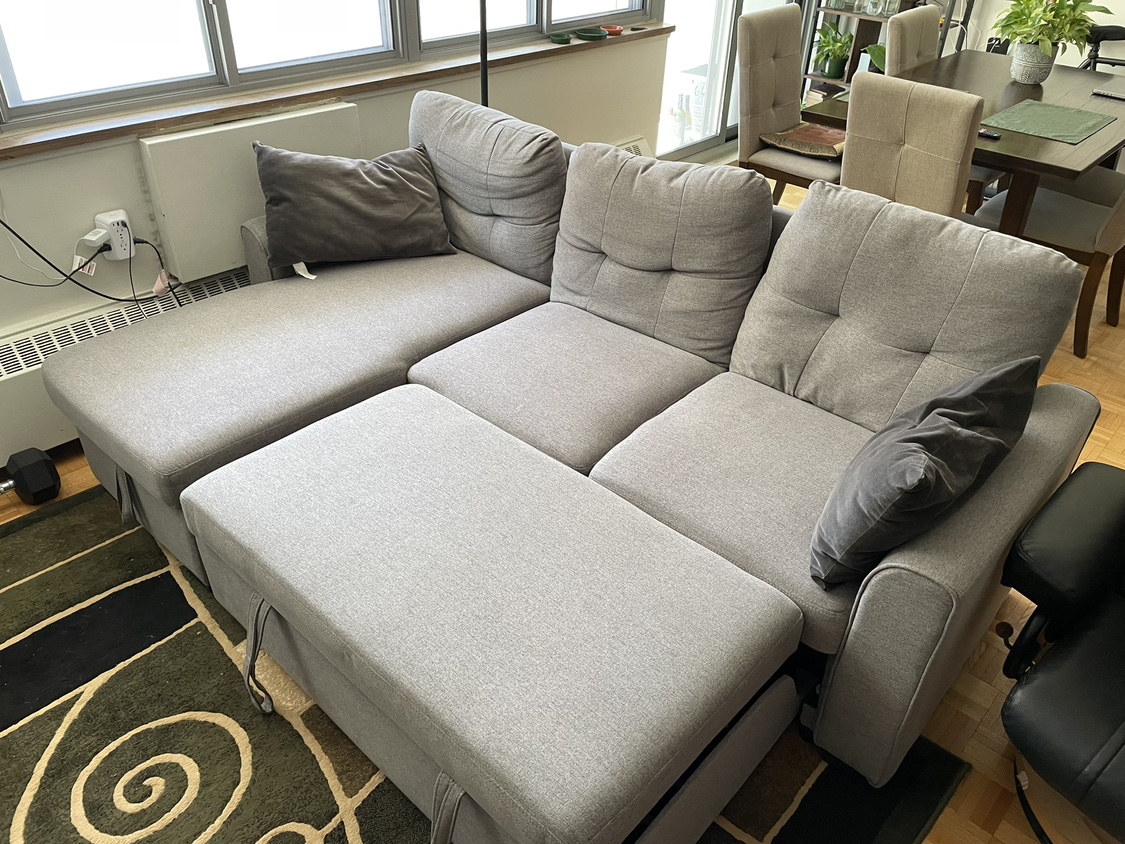 Chaise pullout couch with storage section