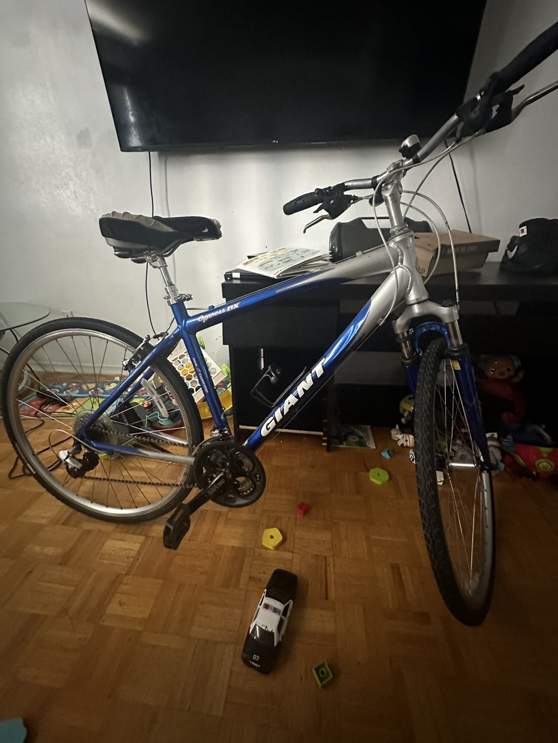 Giant bike