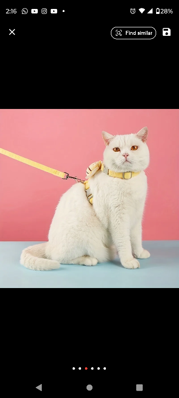 Brand new cat harness and leash thumbnail