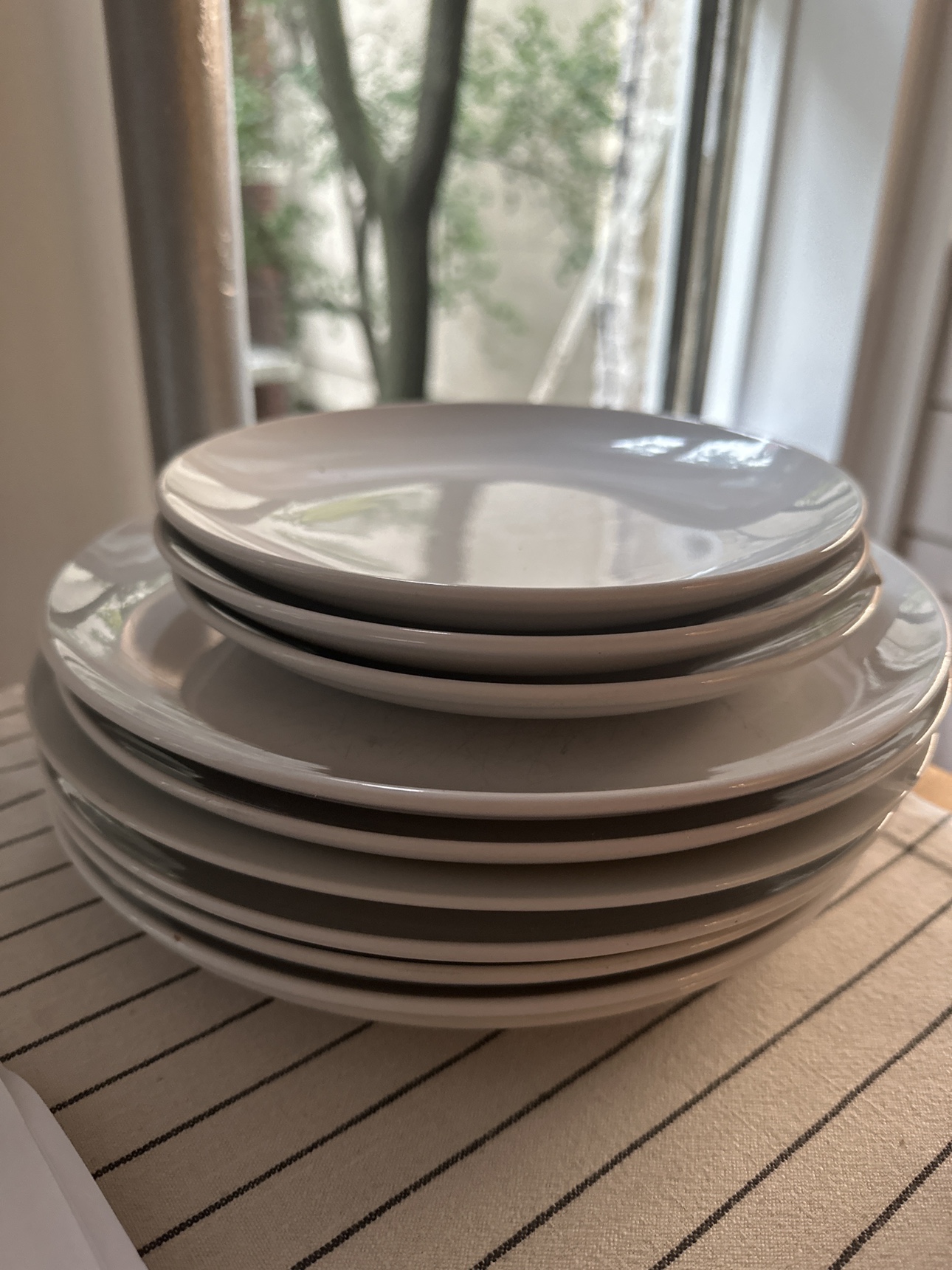 Plates #freecycle