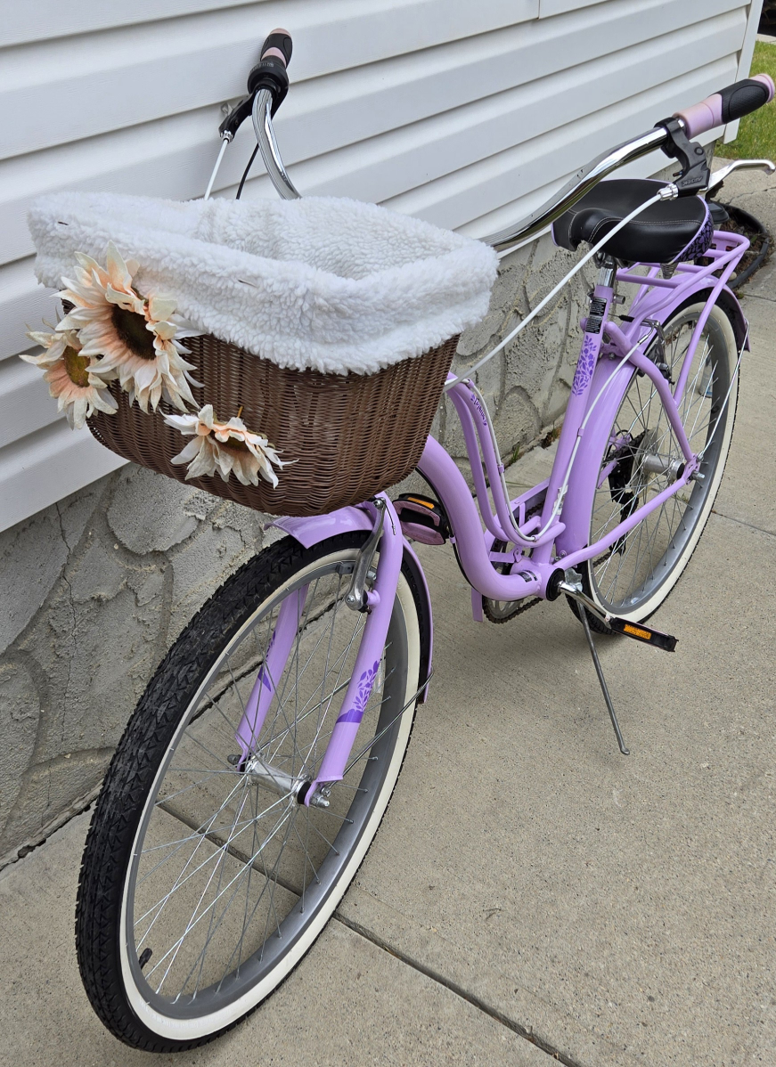 Roadmaster 26" Cordelia Cruiser Purple. Located NW Silversprings - photo 5