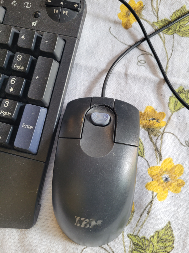 IBM mouse and keyboard ⚽ image indicator(2)