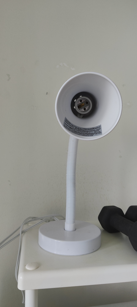 Lamp