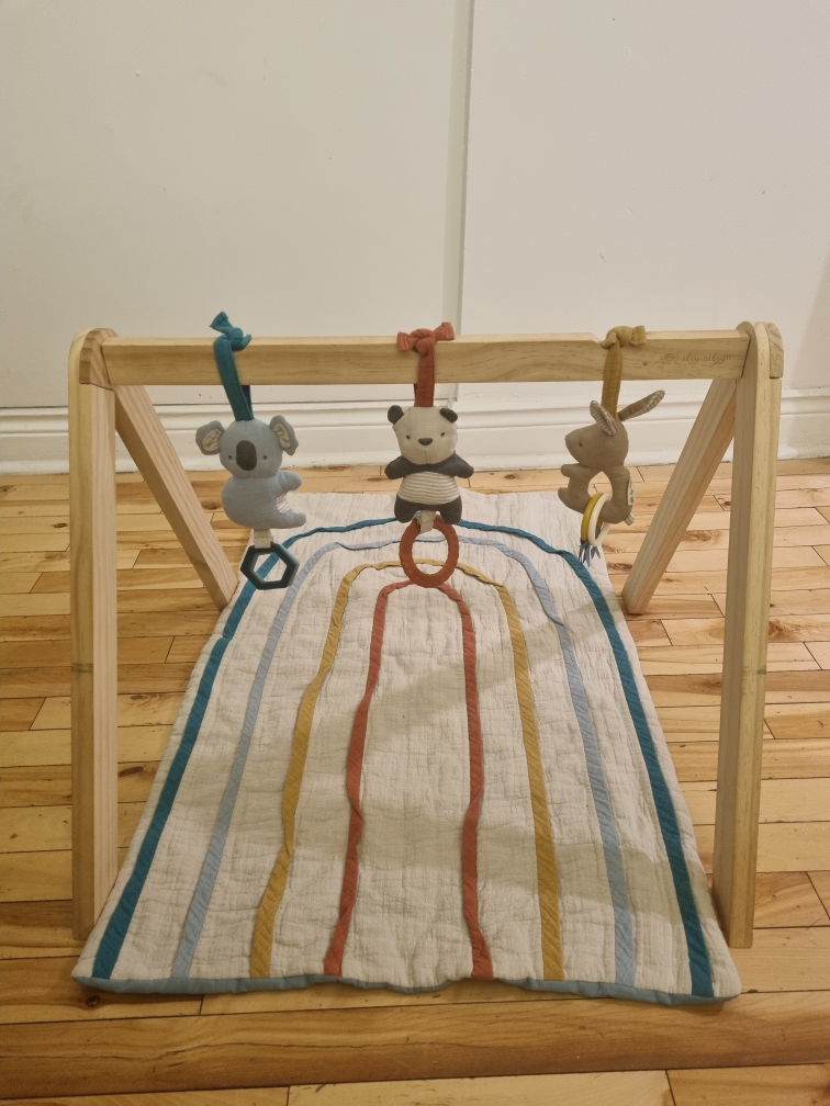 Activity Gym with Play Mat + Toys Itzy Ritzy thumbnail
