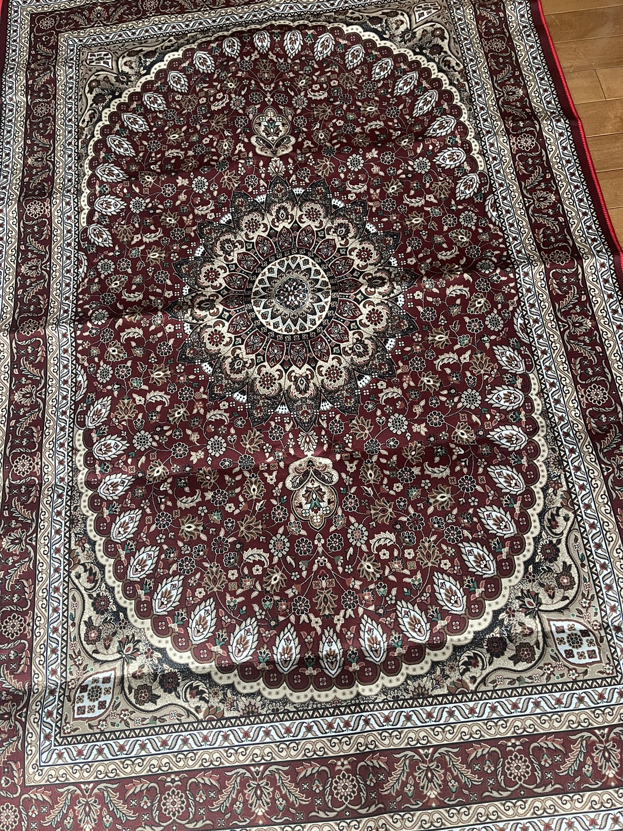Red and Cream Area Rug thumbnail