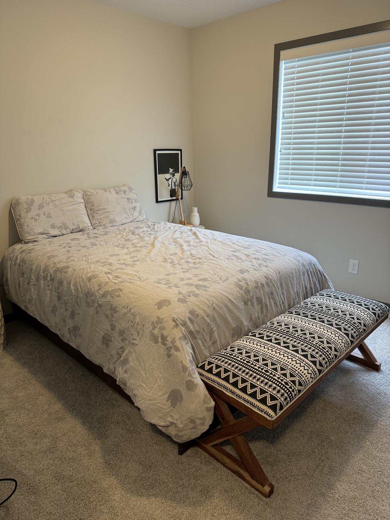 Twin bed (mattress, box spring and frame)