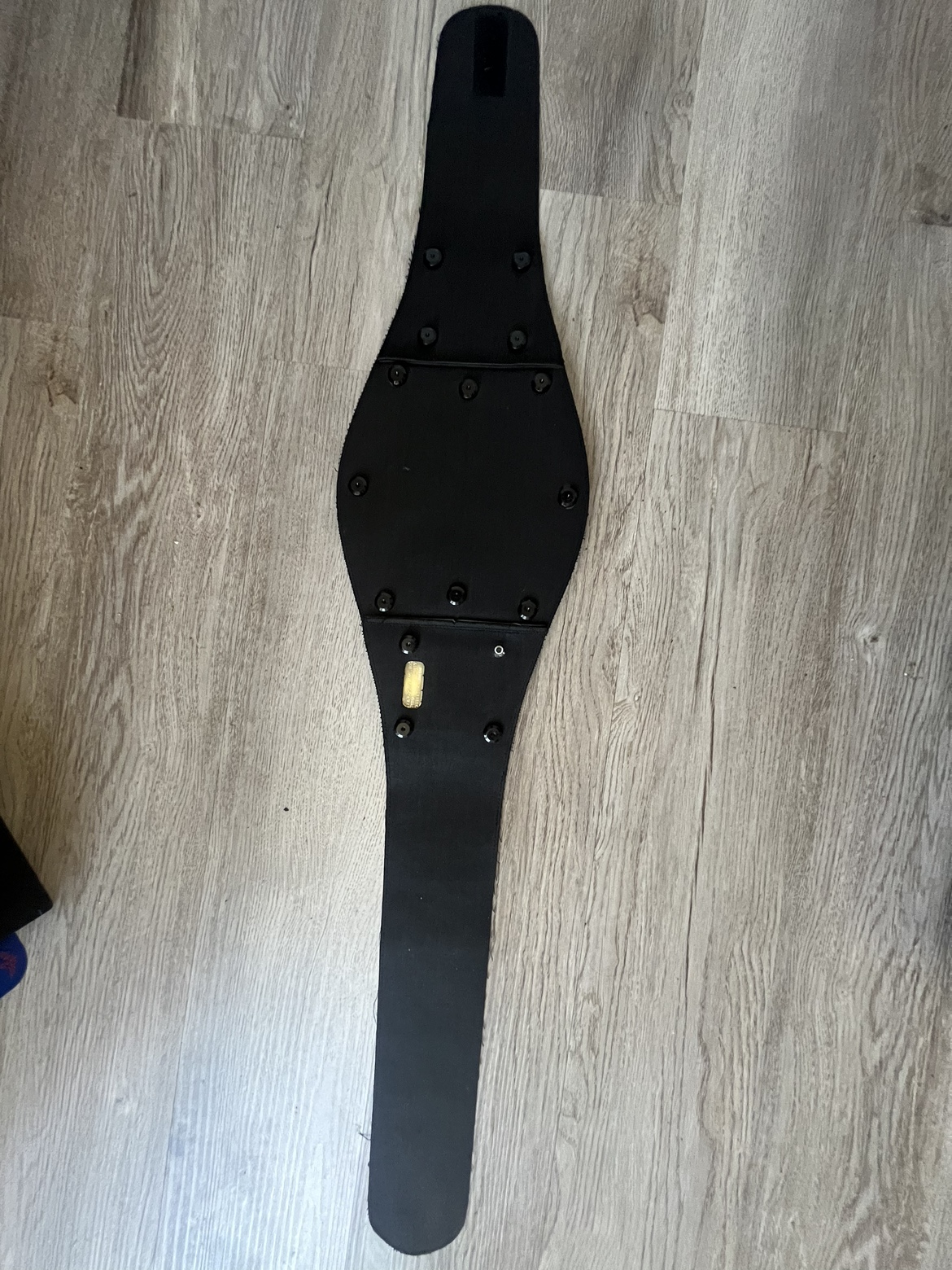 Wwe spinner championship belt (kids) - photo 3