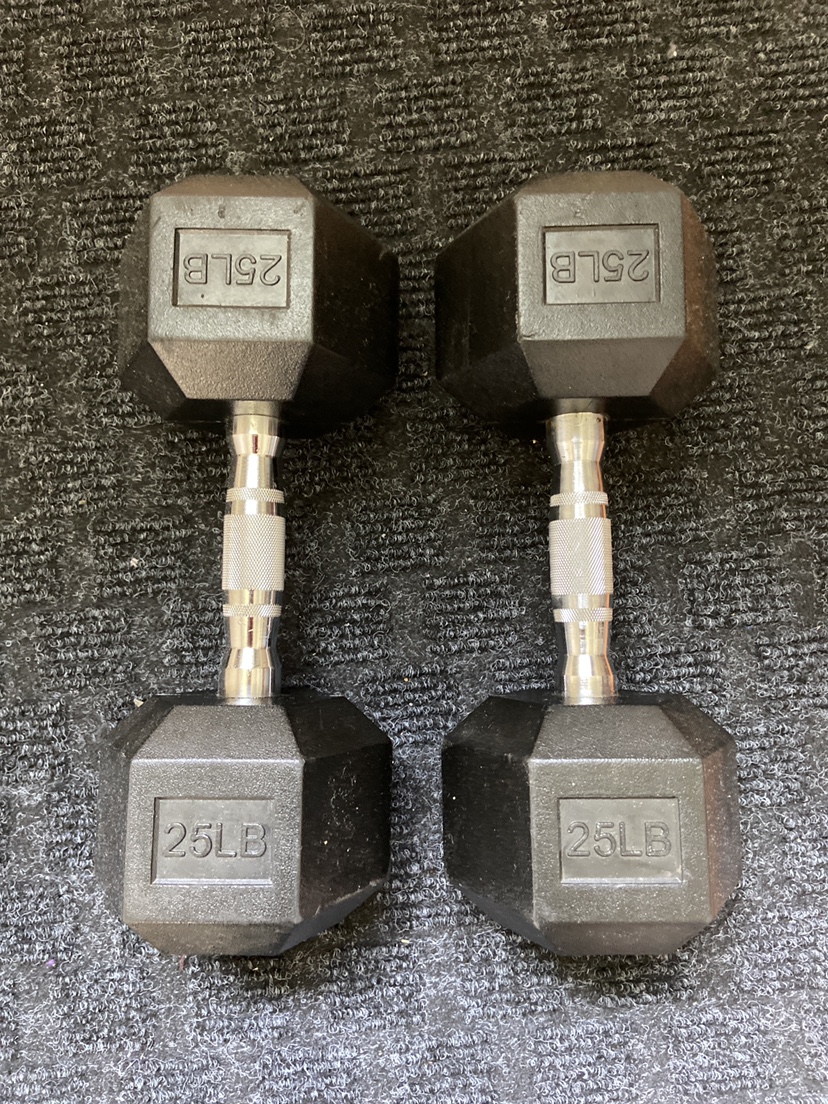 25 lb Dumbbells