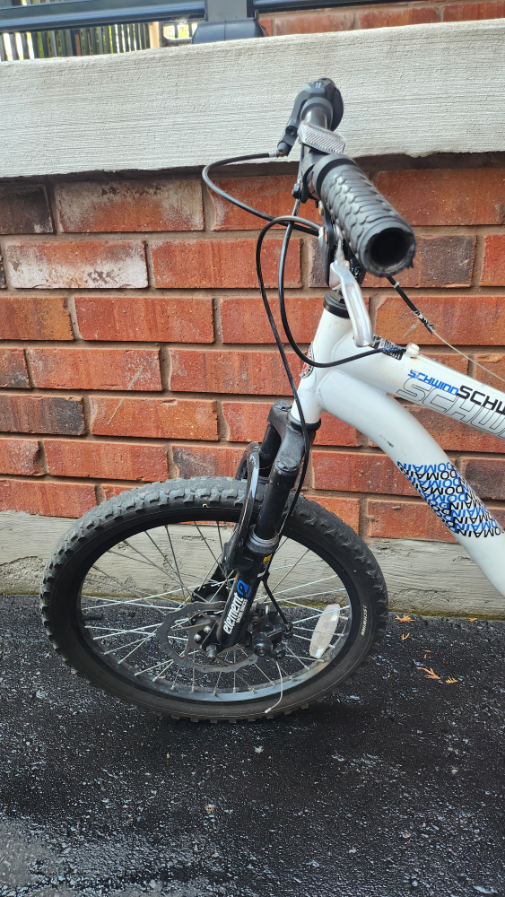 Schwinn 20" Bike image indicator(3)