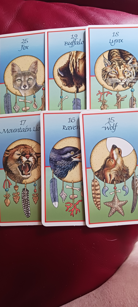 Medicine Cards - photo 4