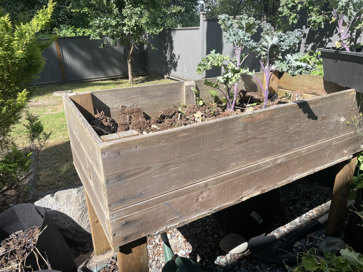 Tall wooden planter box