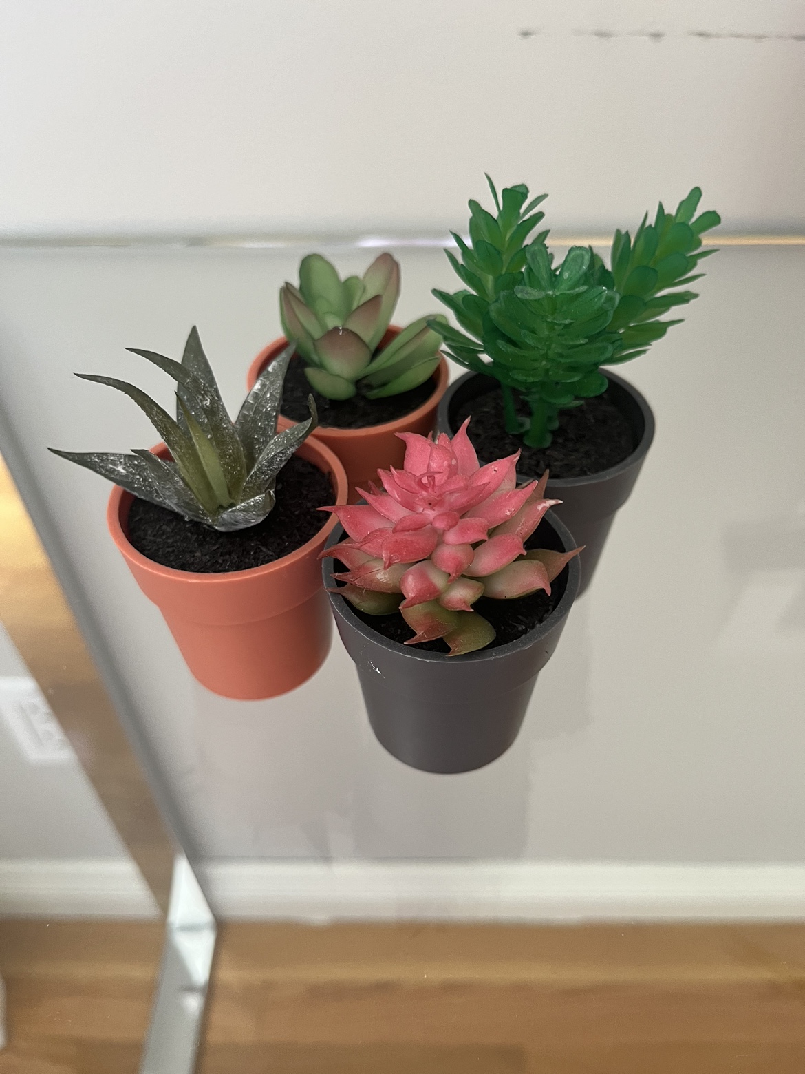 Artificial mini plants#freecycle thumbnail
