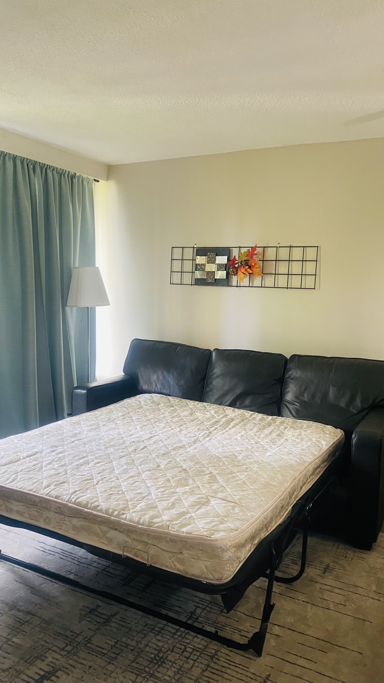 Pull out sofa bed - photo 5