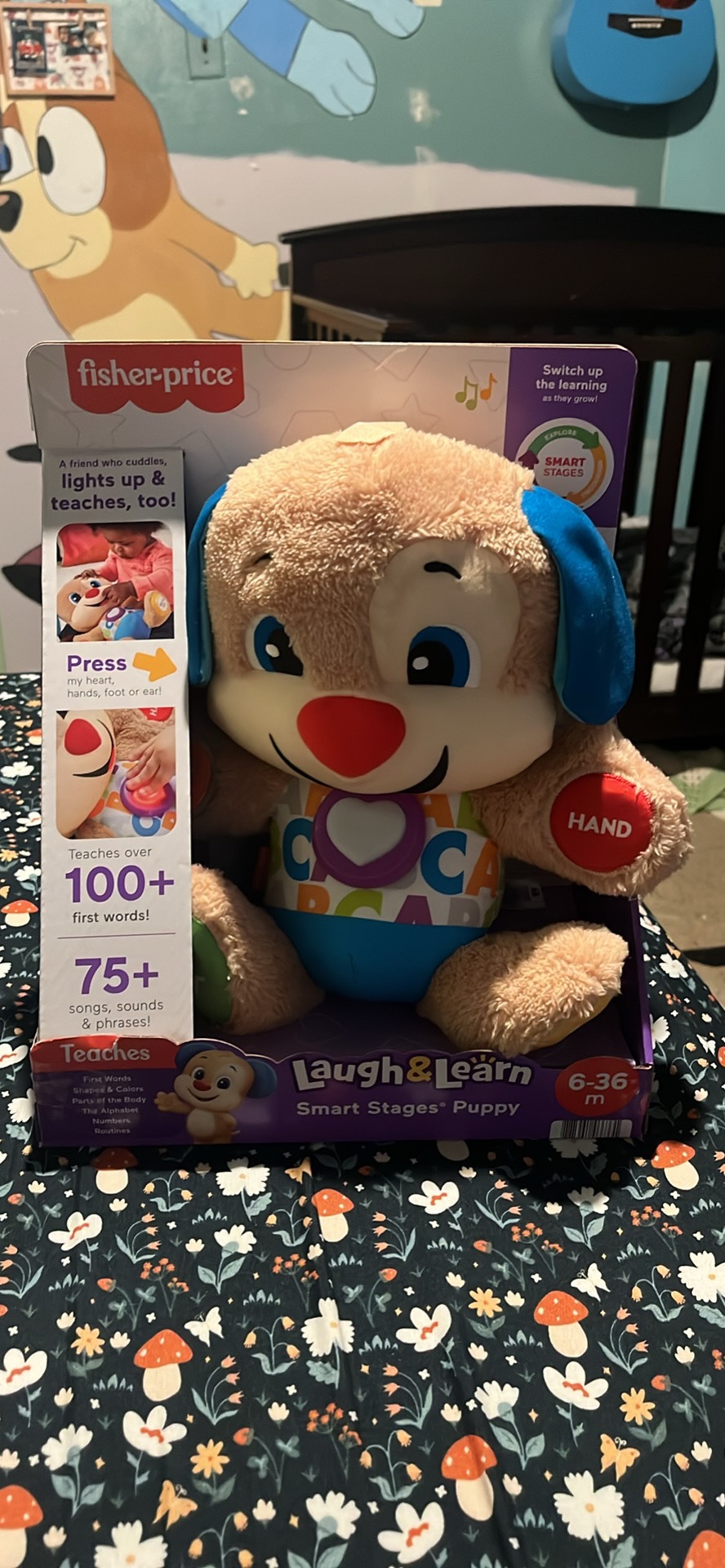 Child’s toy