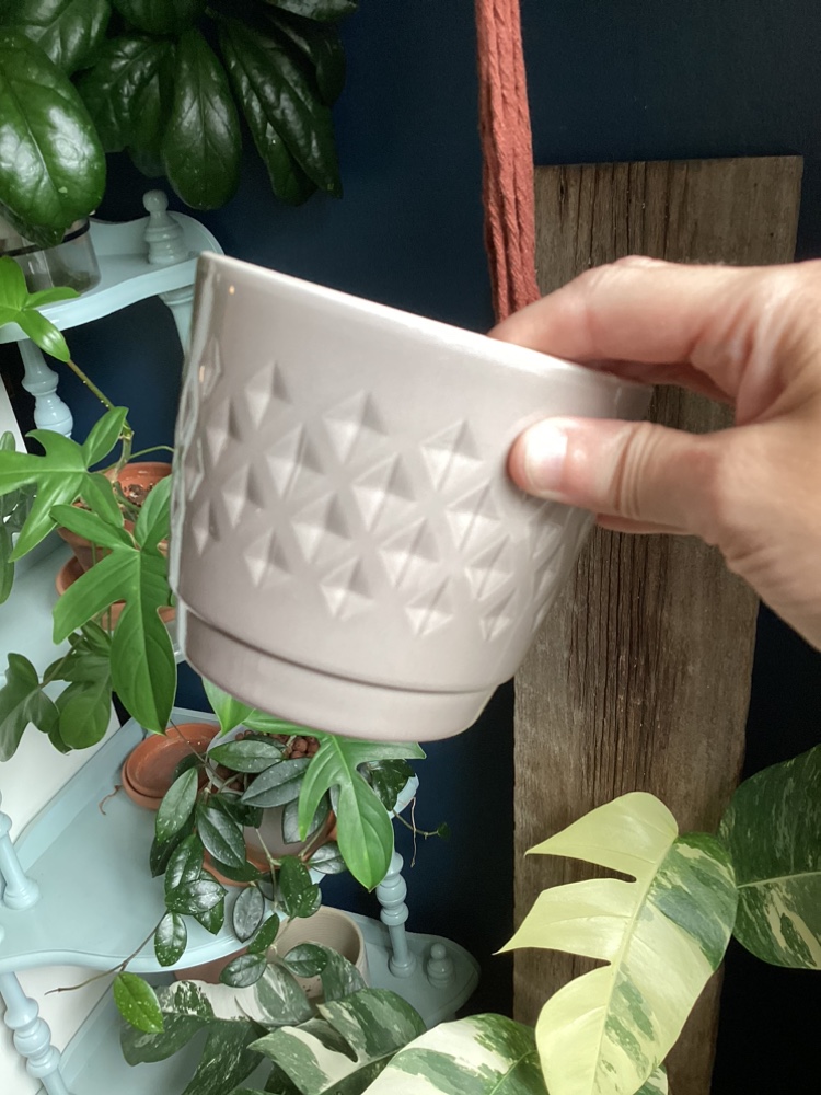 Collection of Plant Pots image indicator(7)