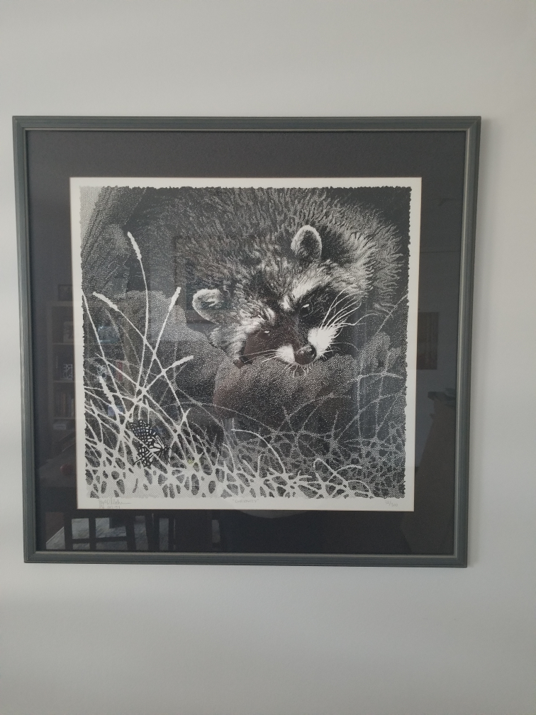 "Curiosity" by R. Clahn