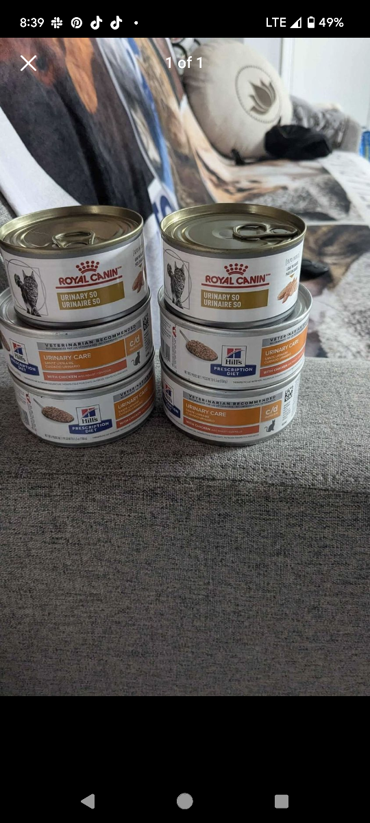 vet urinary wet food