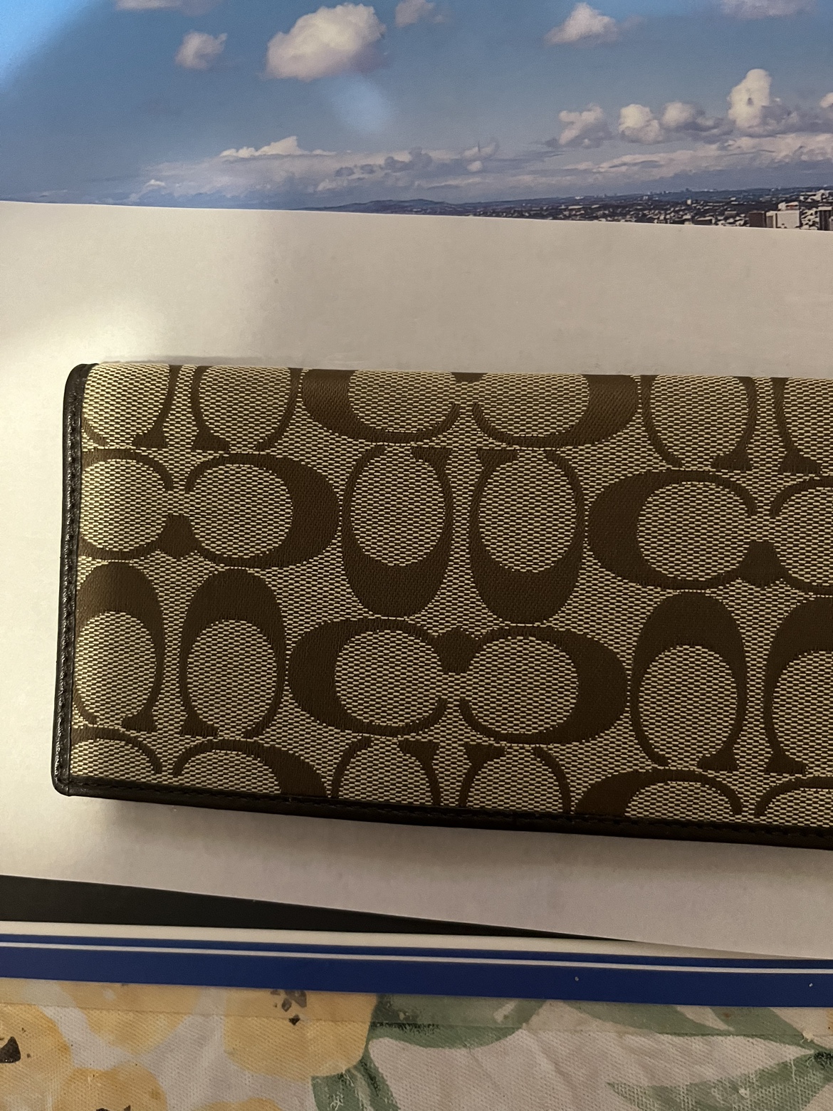 Coach wallet image indicator(2)