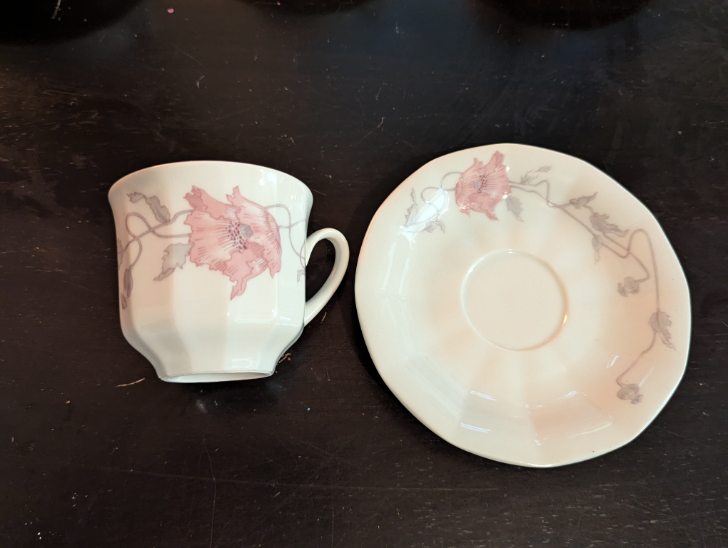 Rare Bohemian Tea Cup and Saucer Set image indicator(3)