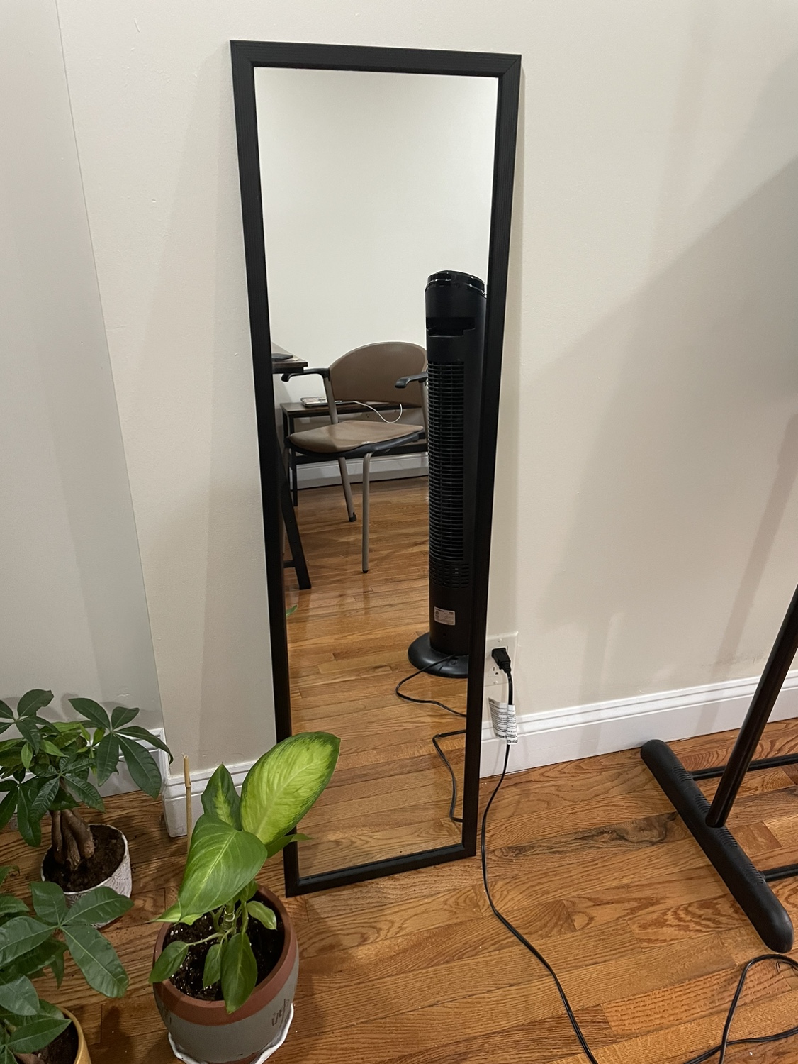 Mirror
