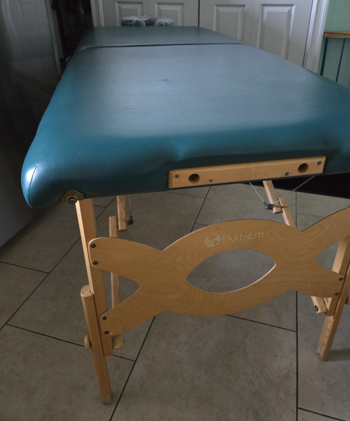 🥕 Earthlite Avalon Juniper Professional RMT Massage Table - EUC image indicator(5)