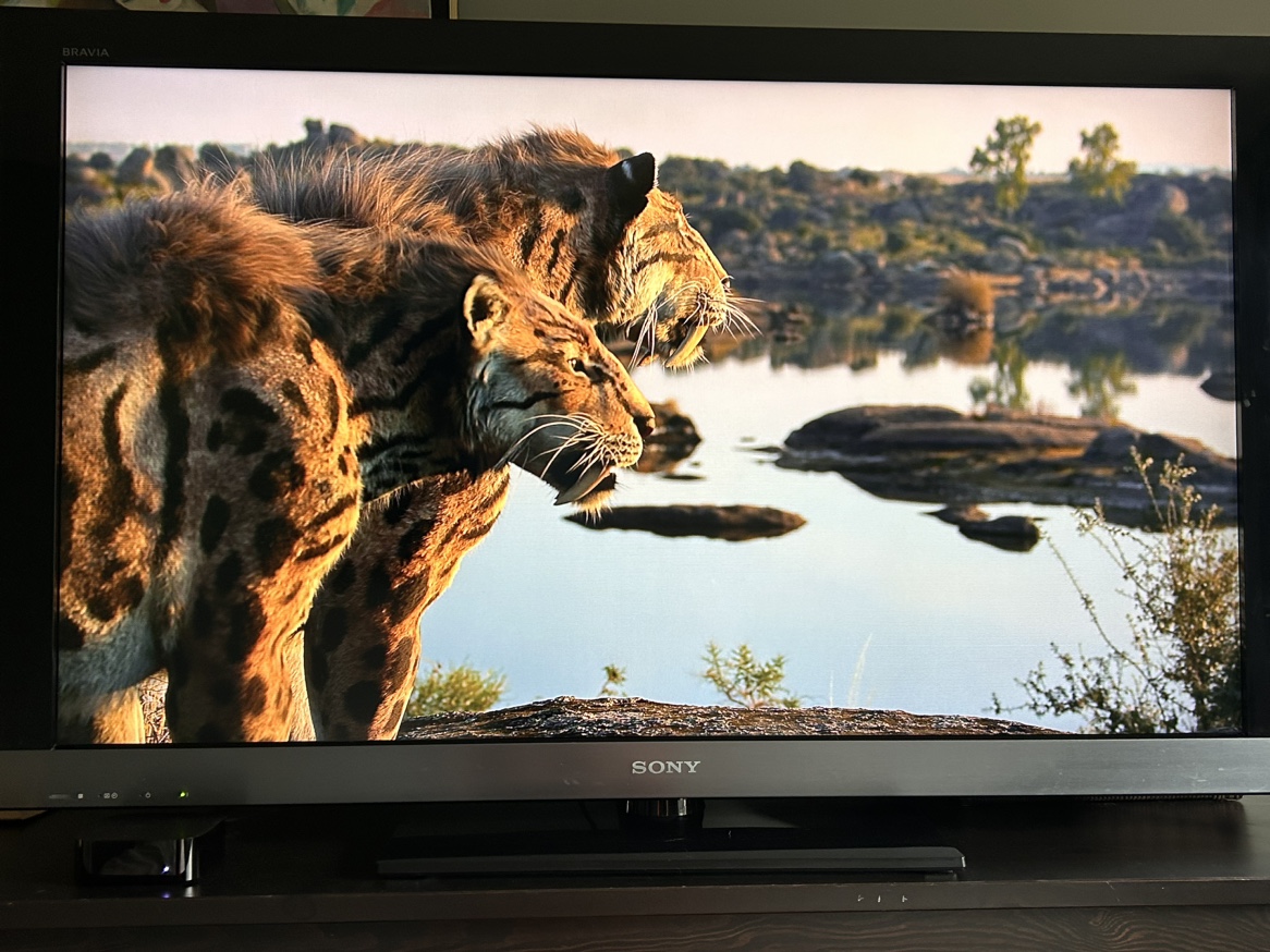 Sony TV - photo 3